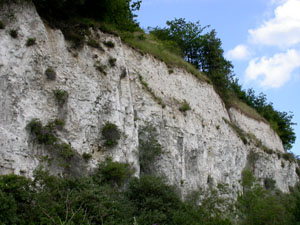 Image: chafford